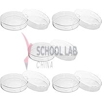 Disposable Petri Dish - 55x12mm - Pack of 10
